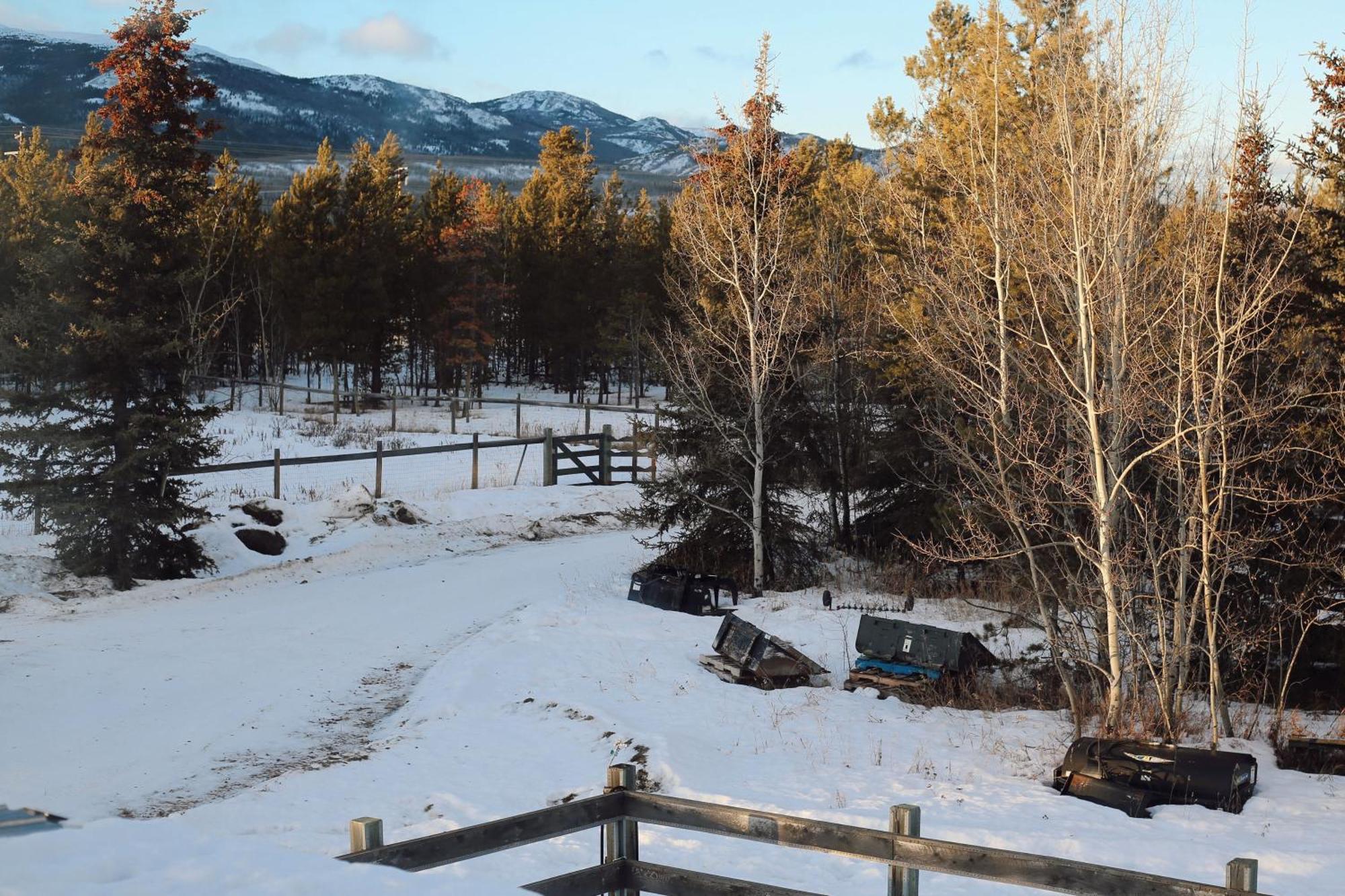 Appartamento The Big Red Barn Whitehorse Esterno foto