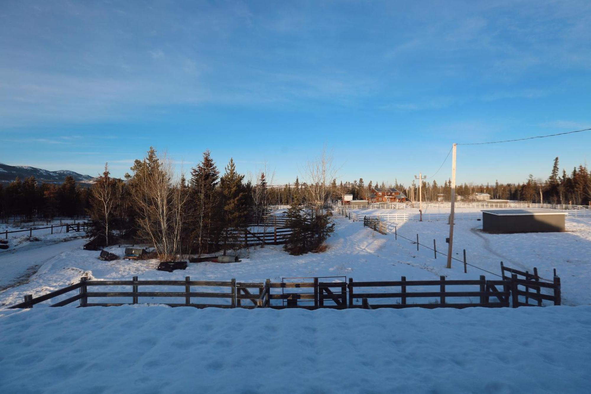 Appartamento The Big Red Barn Whitehorse Esterno foto